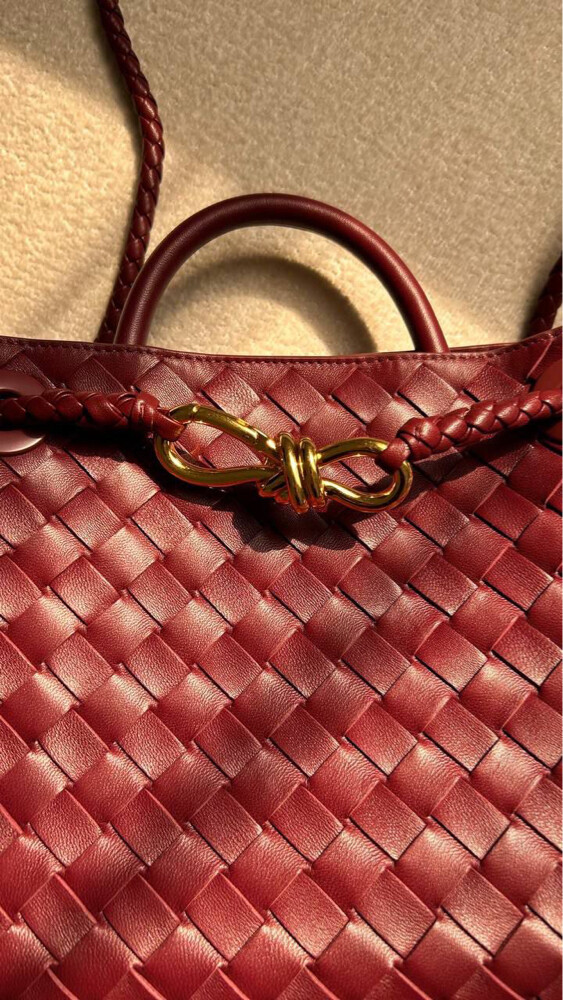Bottega Veneta Small Andiamo  - 2