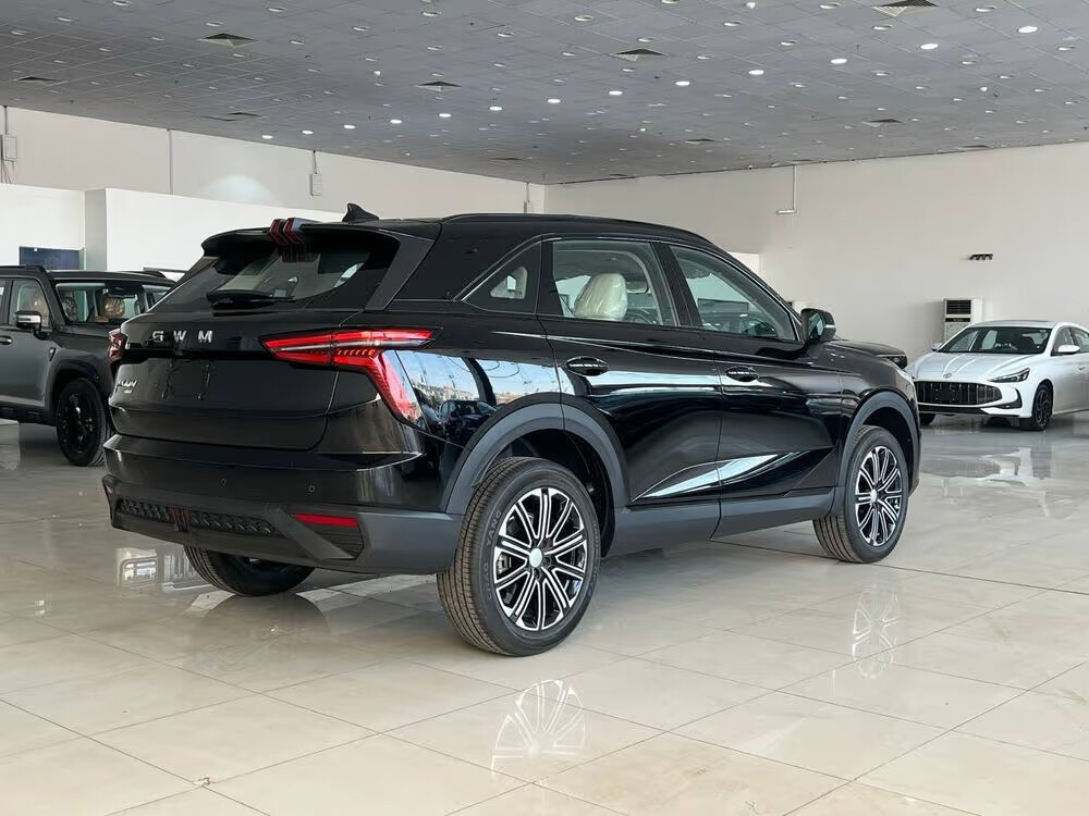 Haval Jolion Max - 4