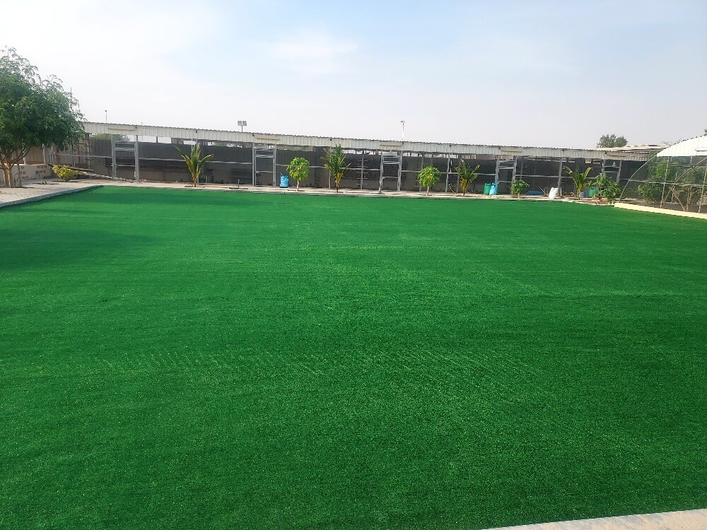 Artificial Gass Carpet. - 6
