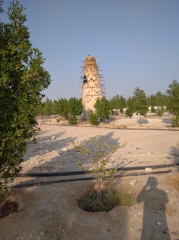 أبويوسف 55274904 - 2