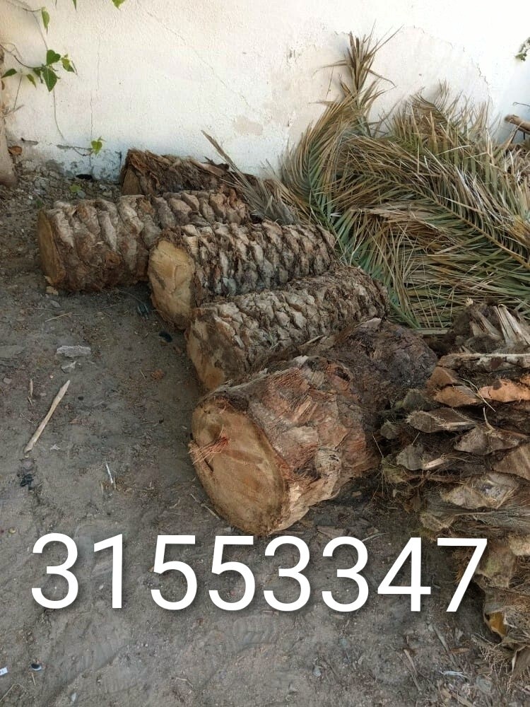 قص وتقطيع الأشجار - 1