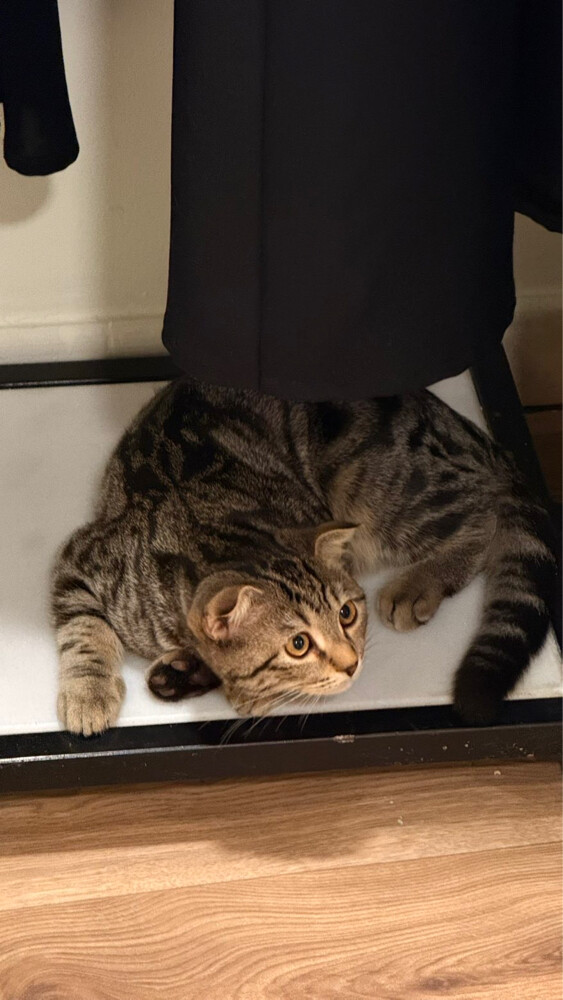 no name yet  - 2