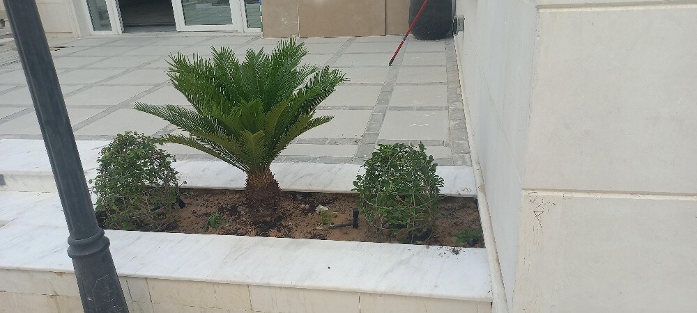 أحواض زراعه - 4