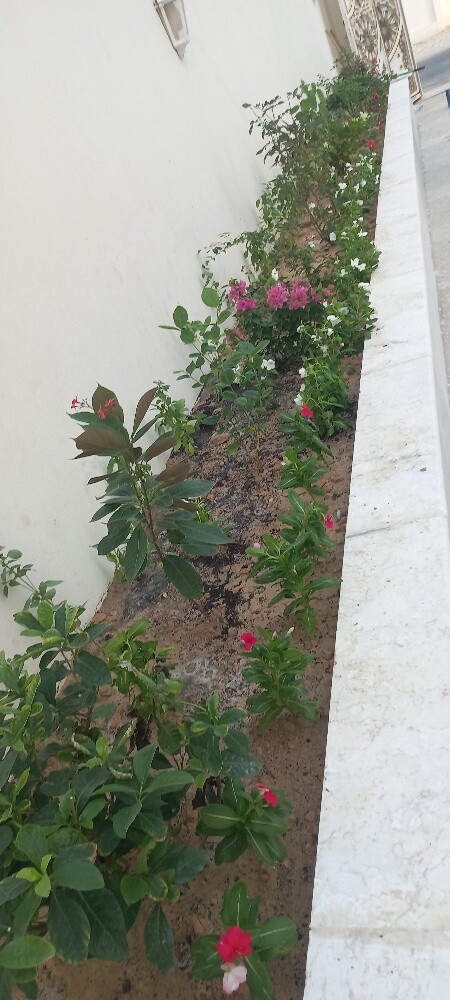 أحواض زراعه - 6