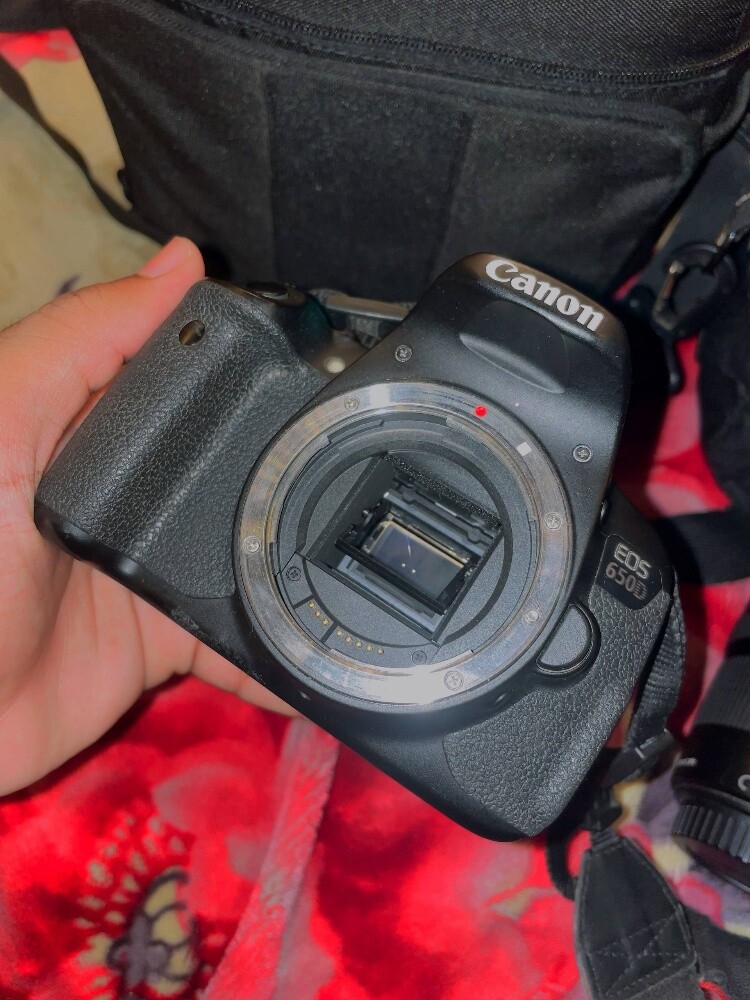 canon EOS 650D with Two Lenses - 6