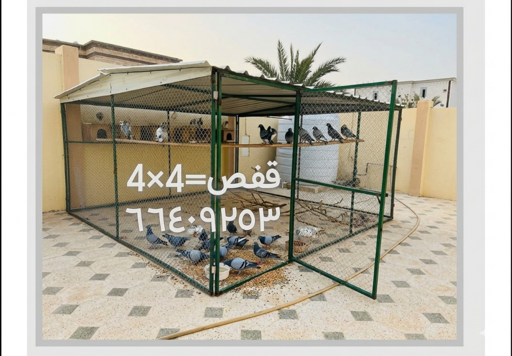 الحممت قفص =43/٤ - 2