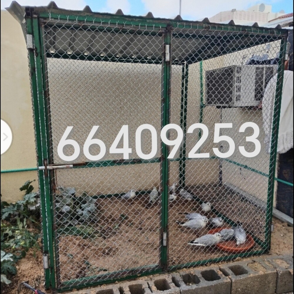 الحممت قفص =43/٤ - 1