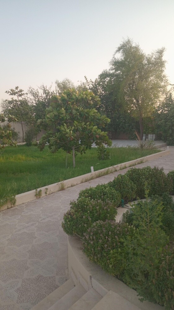 عزبة للبيع فيلا مفروشة - 3