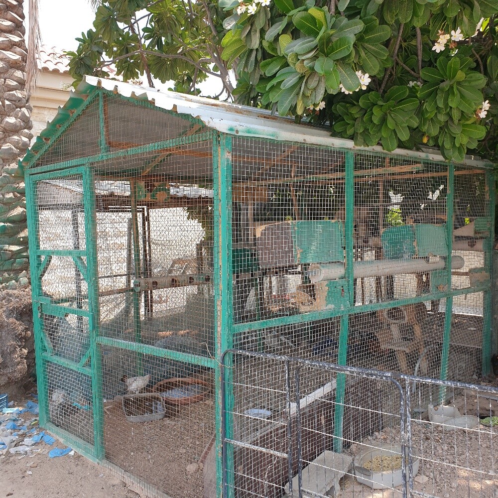 cage - 3