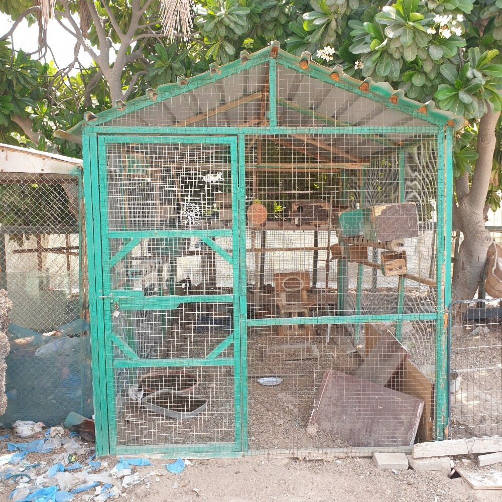 cage - 2