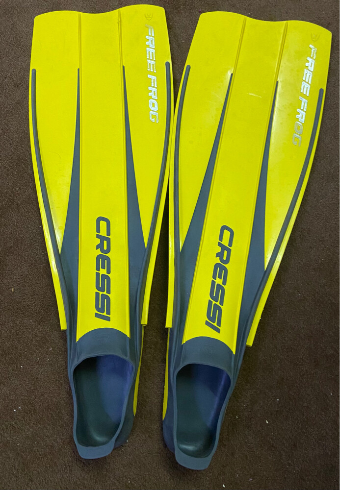 swimming tools price by each - 7
