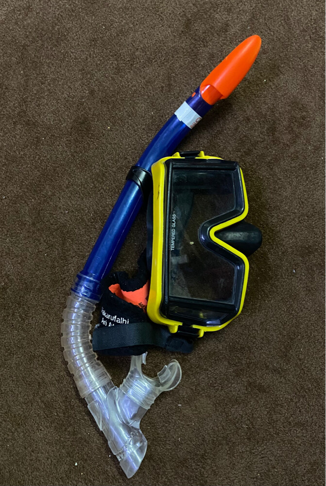 swimming tools price by each - 1