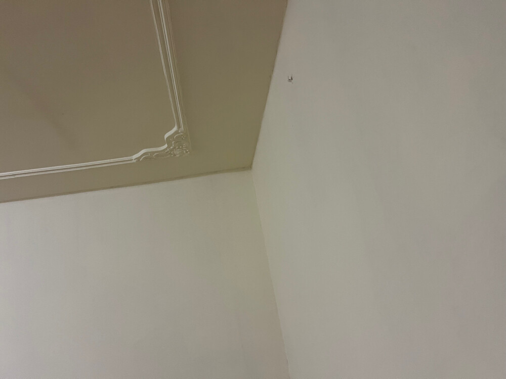 flat for rent - 2