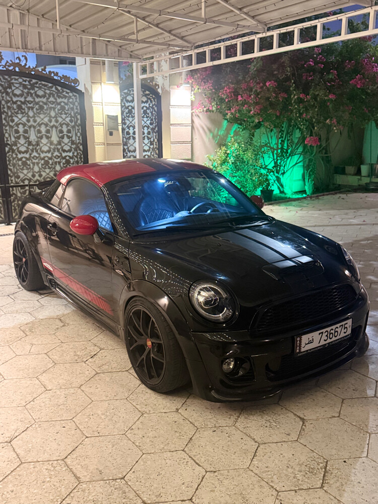 mini 2014 - 1