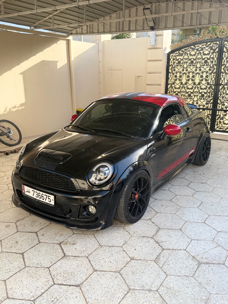 mini 2014 - 3