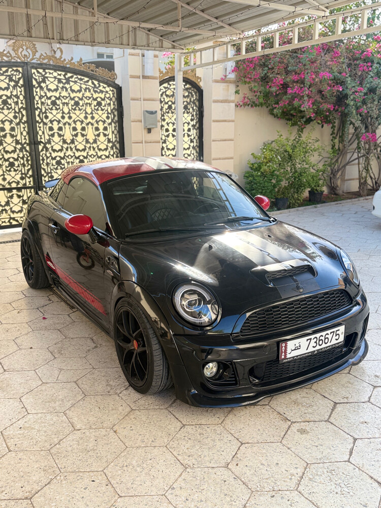 mini 2014 - 7