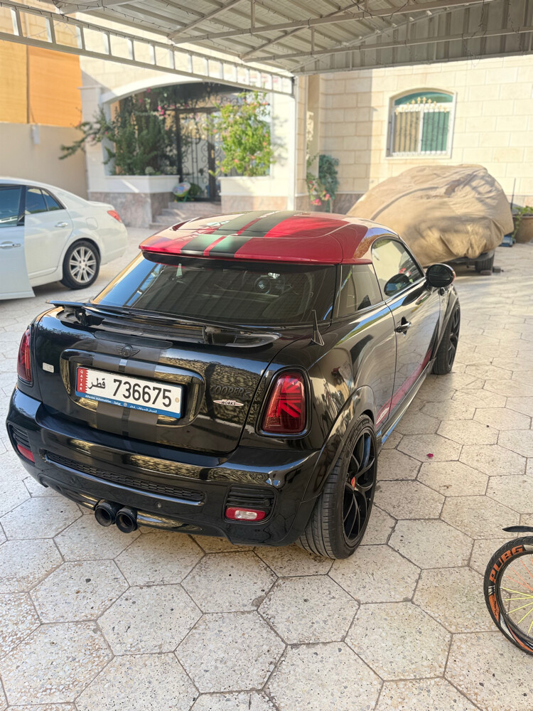 mini 2014 - 6