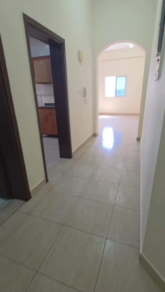 Flats for rent in bin - 1