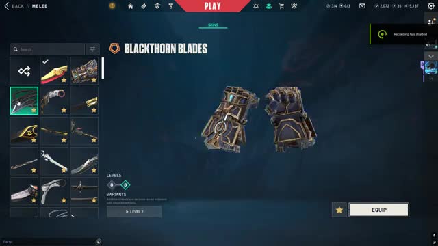 Valorant Champion 21-24 +350 Skins - 14
