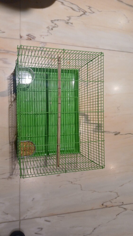 Green Metal Bird Cage - 3
