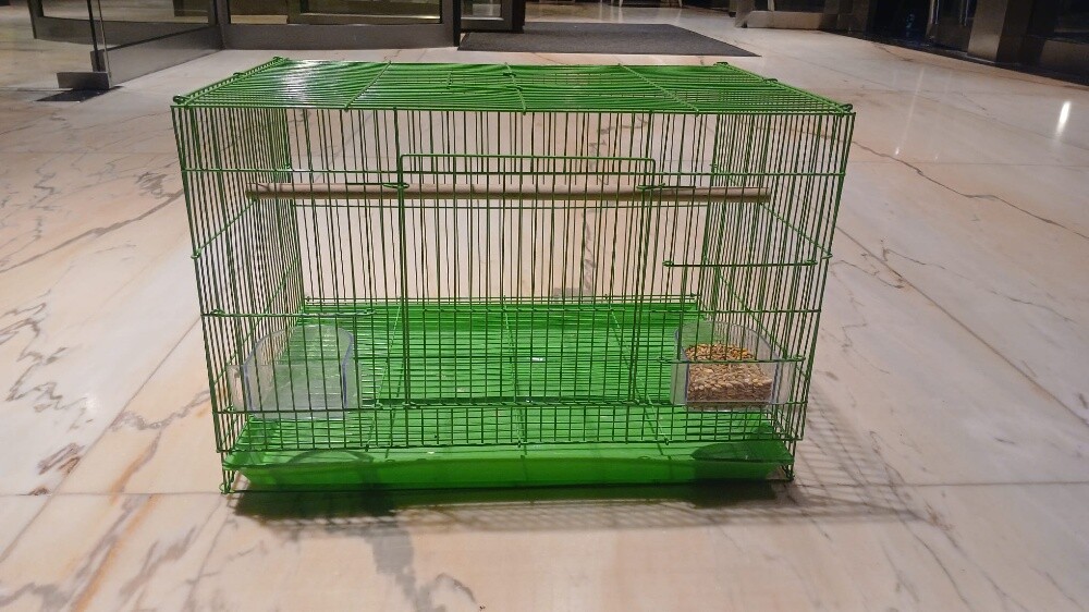 Green Metal Bird Cage - 4