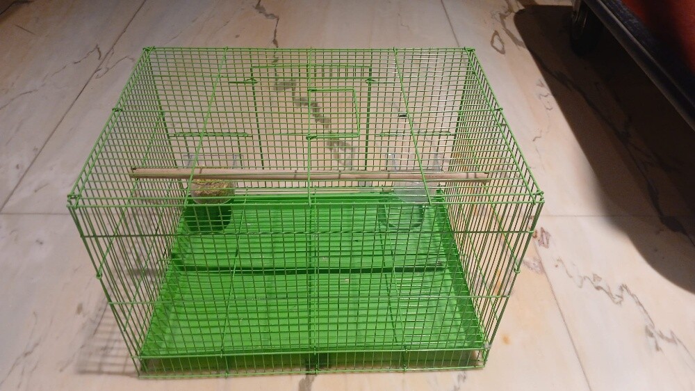 Green Metal Bird Cage - 2