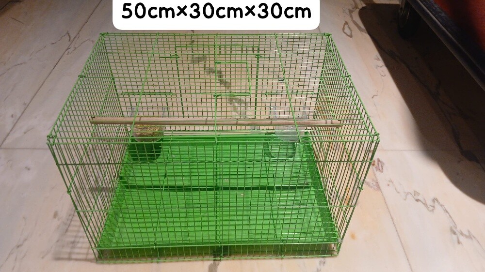 Green Metal Bird Cage - 1