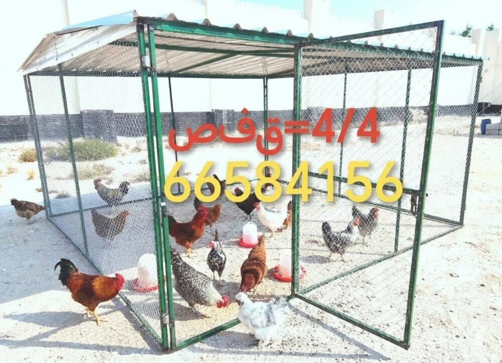 4/4=قفص - 1