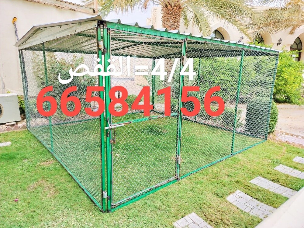 4/4=قفص - 4