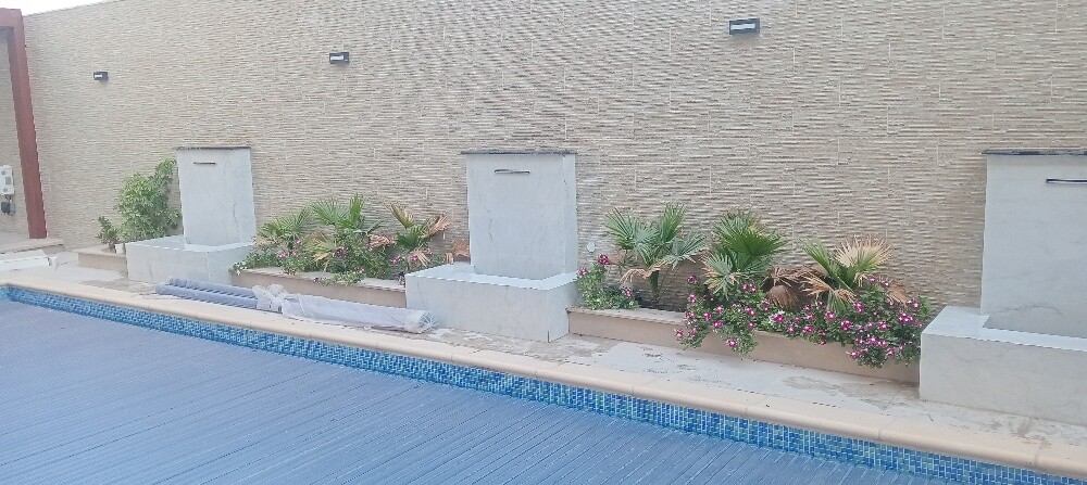 احمد - 6