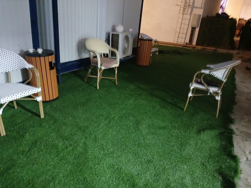 Artificial grass, grass carpet - 7