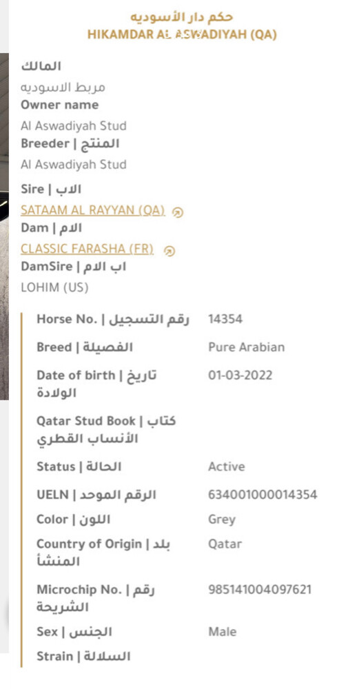 خيل  - 3