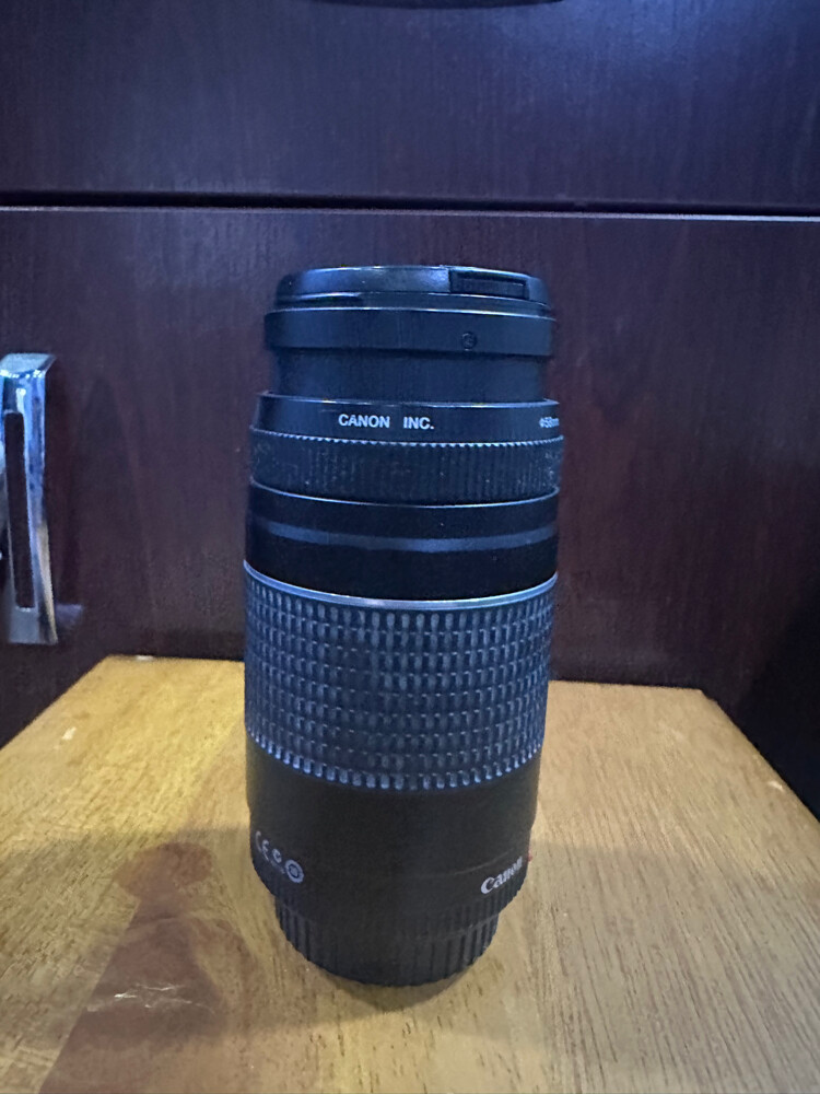 Canon Lens 75-300mm - 1