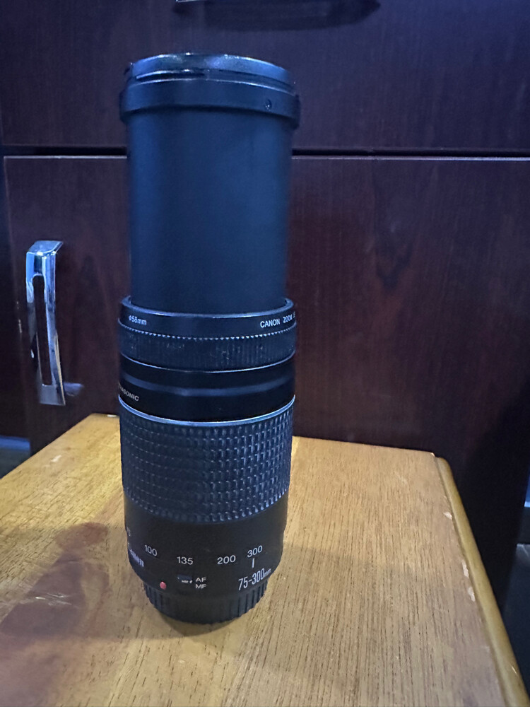 Canon Lens 75-300mm - 2
