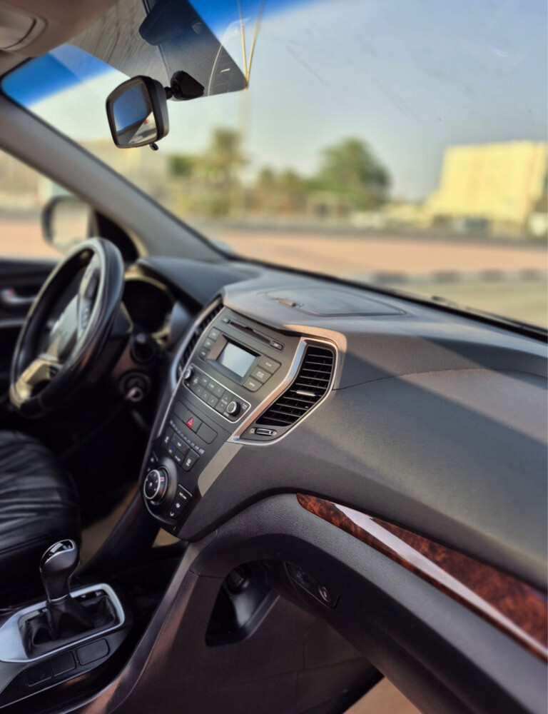 Hyundai Santa Fe 2018 - 14
