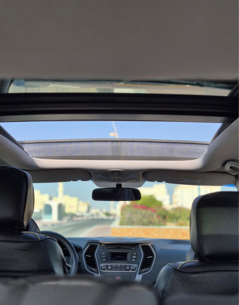 Hyundai Santa Fe 2018 - 13