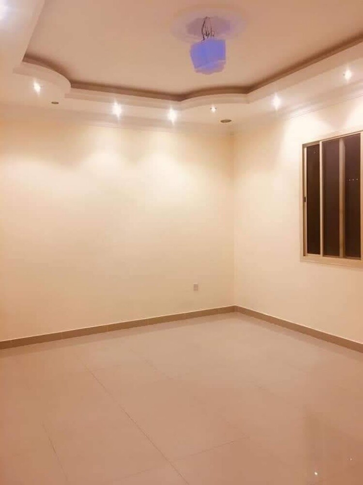gypsum. paint. renovation. - 30