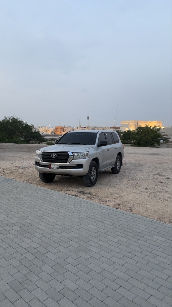 للبيع ستاندر صفاق - 2