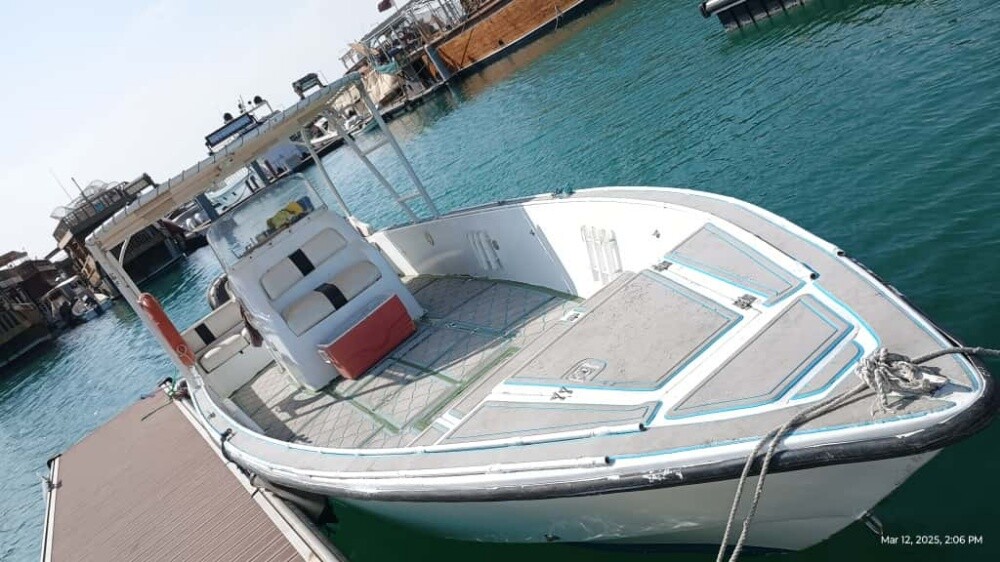 250 hp Yamaha four stock - 3