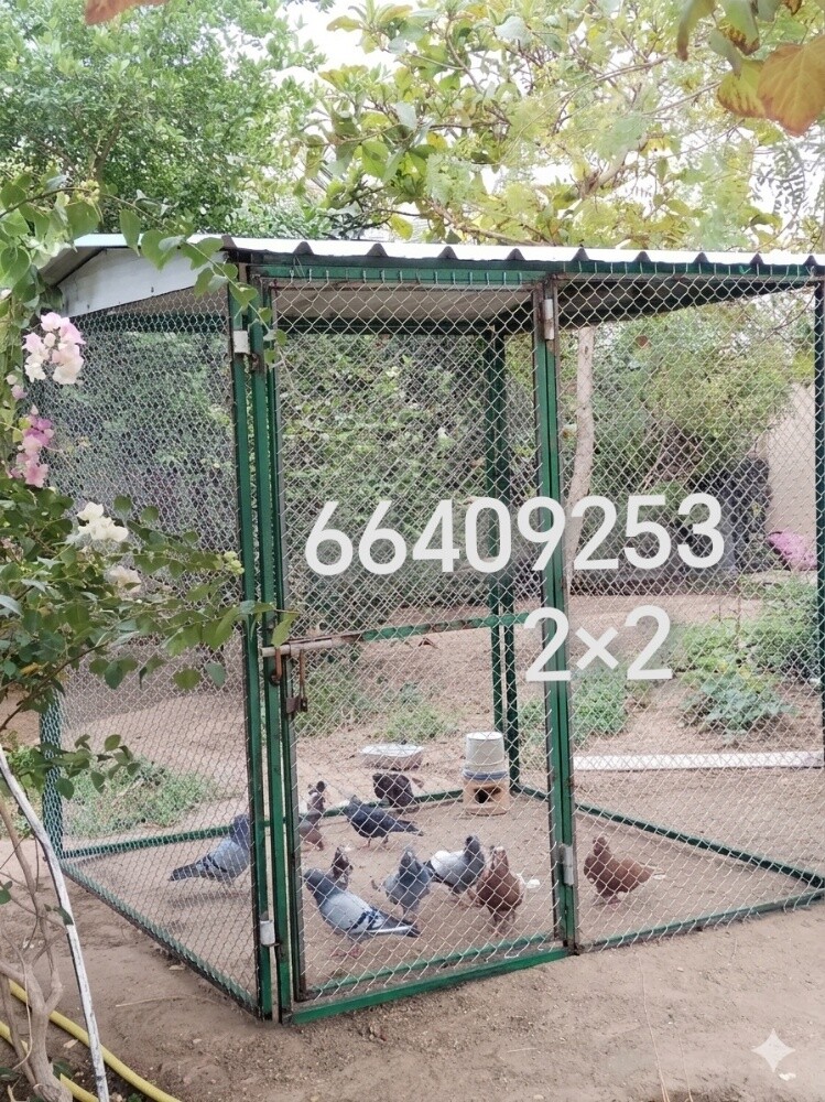 الحماما قفاص=٣*/35 - 2
