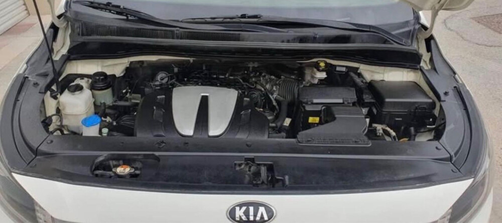 Kia Carnival 2019 Perfect condition - 9