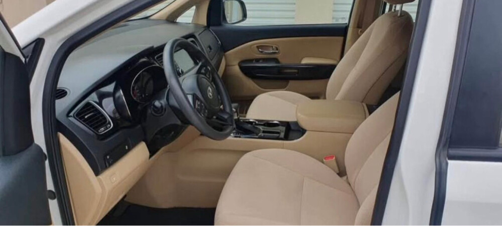 Kia Carnival 2019 Perfect condition - 2