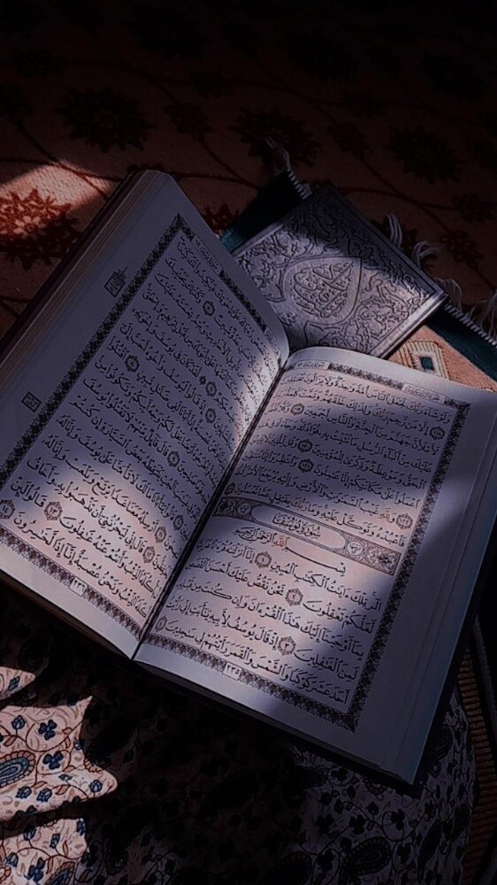 منه الله علاء - 1