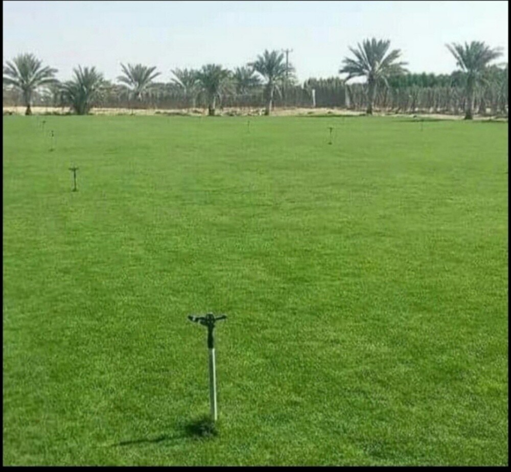 لزراعه وتنسيق الحدائق بالعشب الأخ - 2