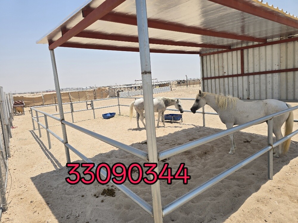 غرفه مال خيل - 3