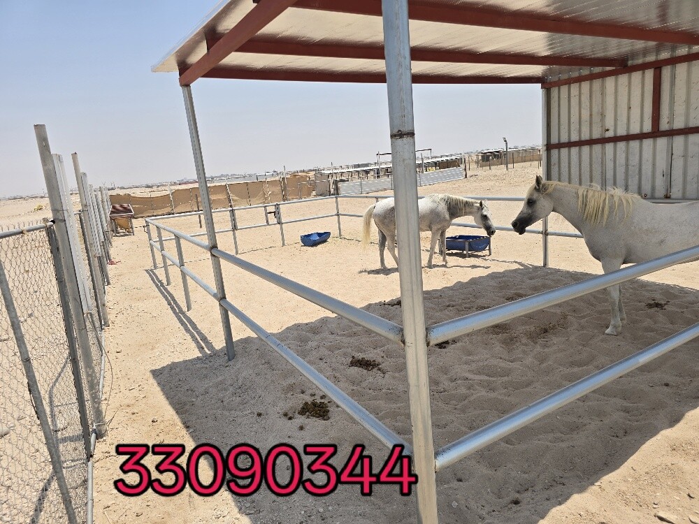 غرفه مال خيل - 1