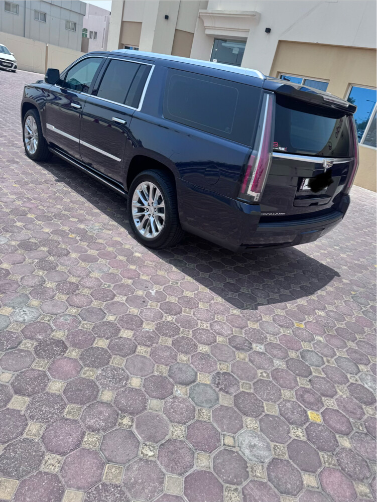 كدلك اسكاليد - 6