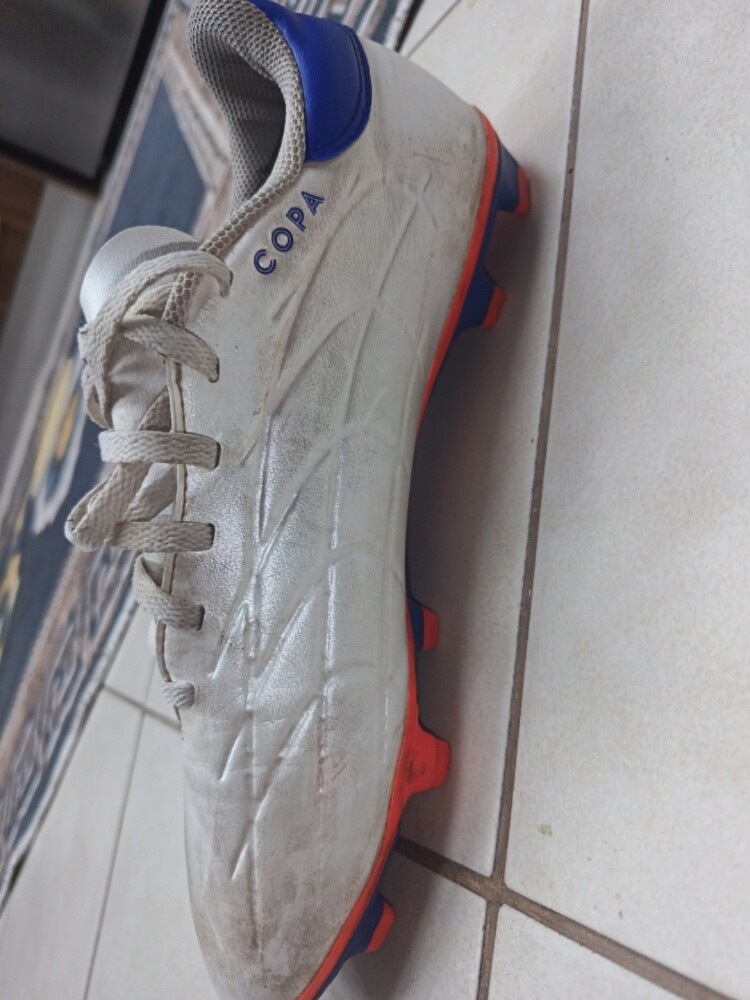 Adidas shoes - 2