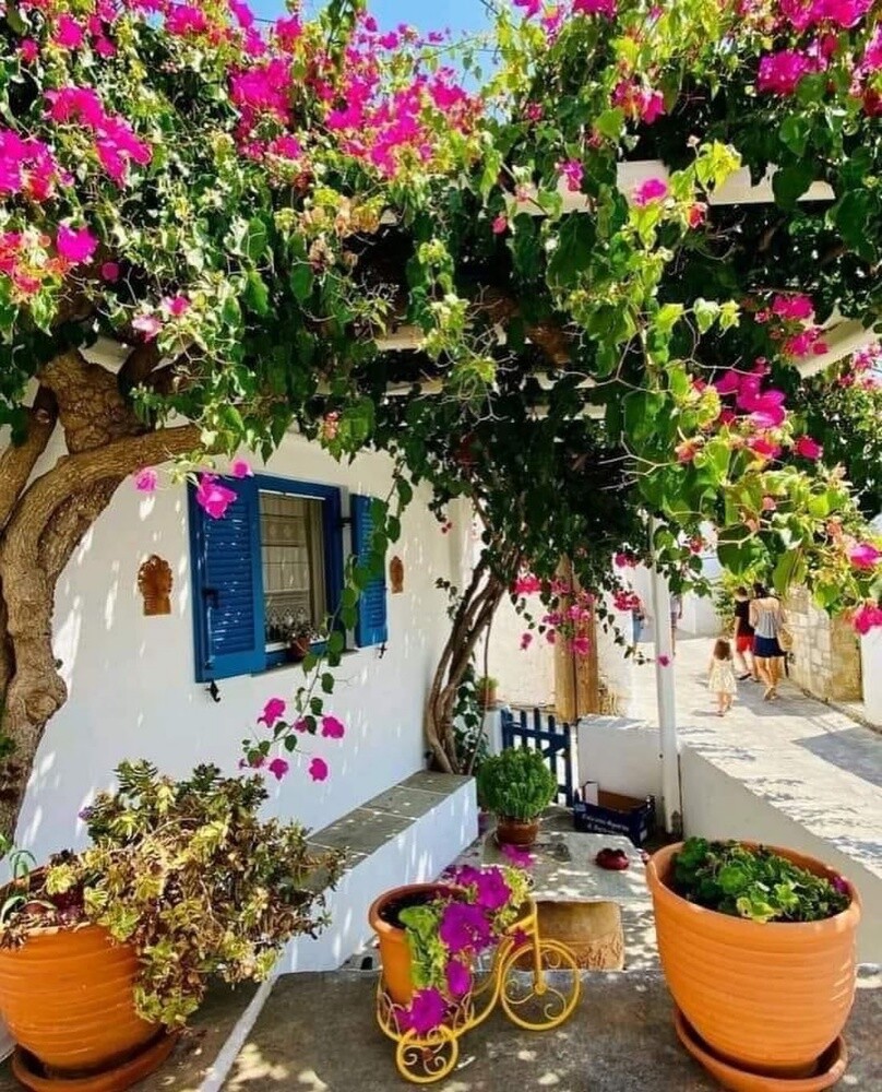 اجمل الجهنميات - 6