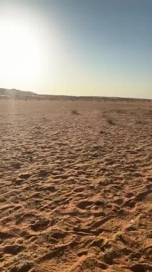 للبيع - 6